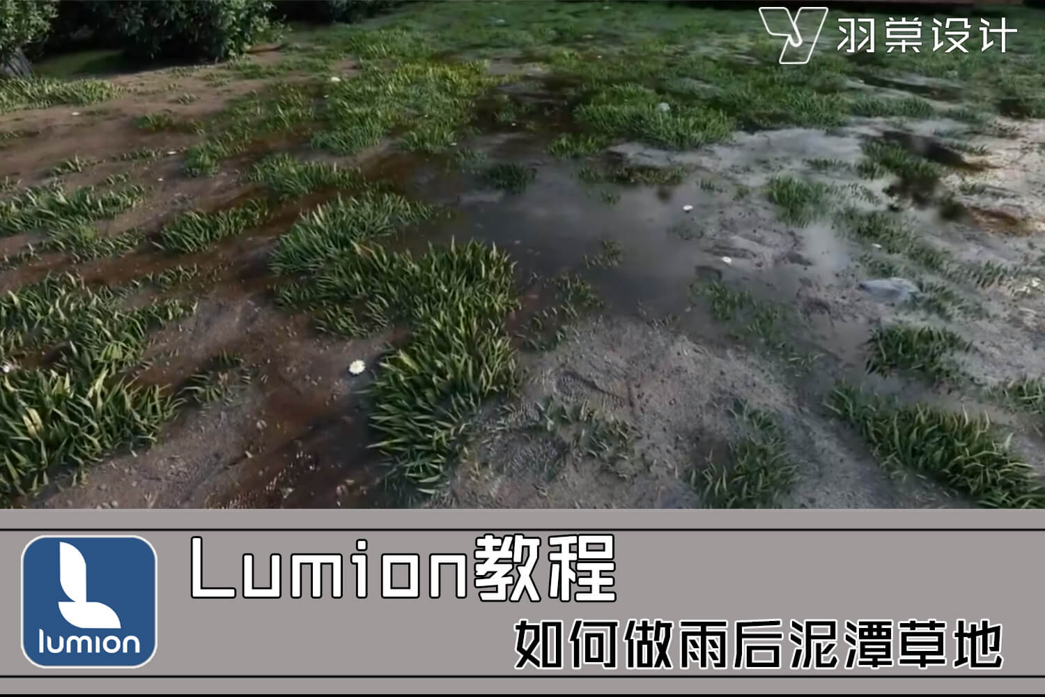 Lumion2023 your license is invalid 